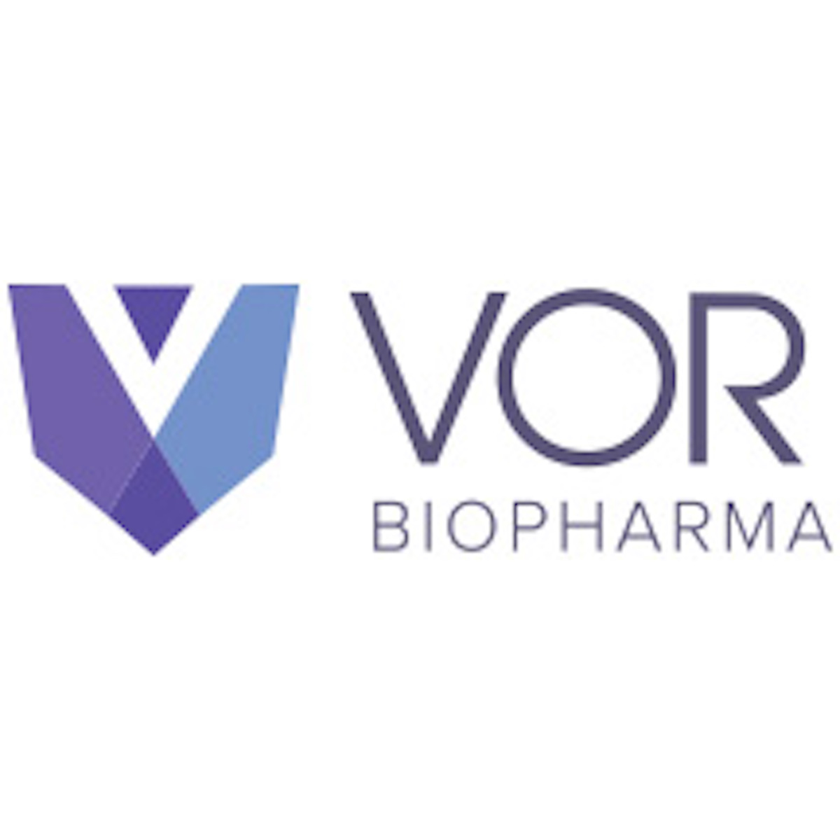 VOR Stock Price Increased 108.33 Why It Happened
