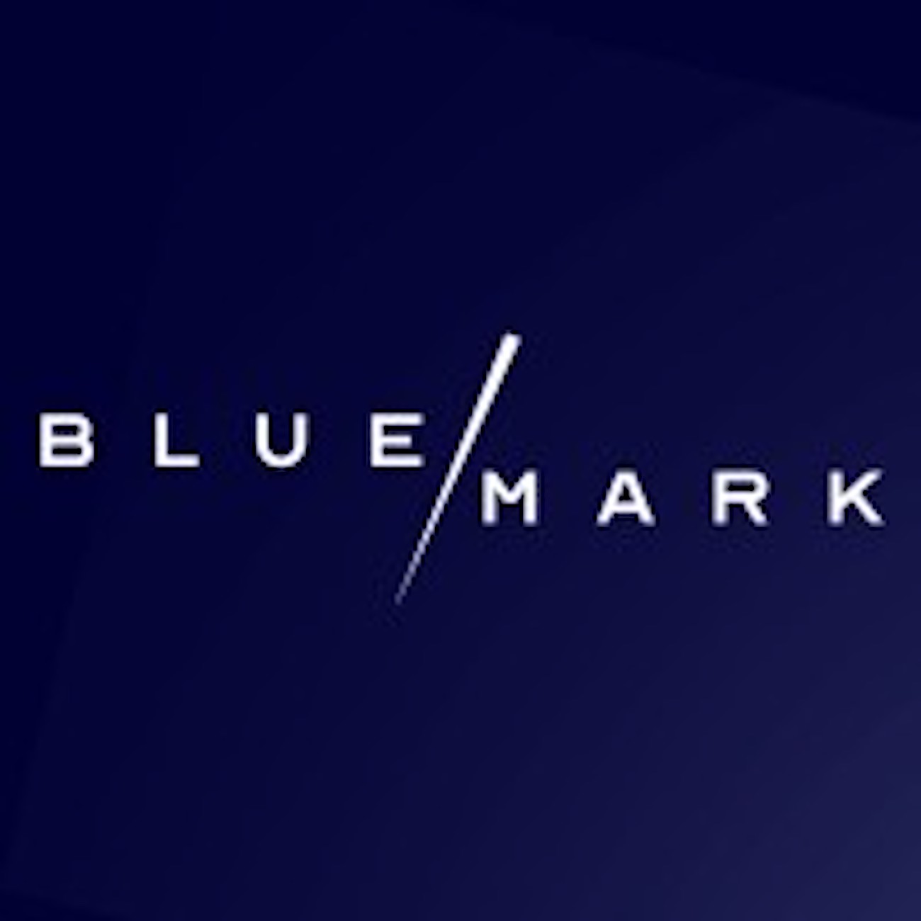 BlueMark Impact Verification And Intelligence Company Secures 10 Million