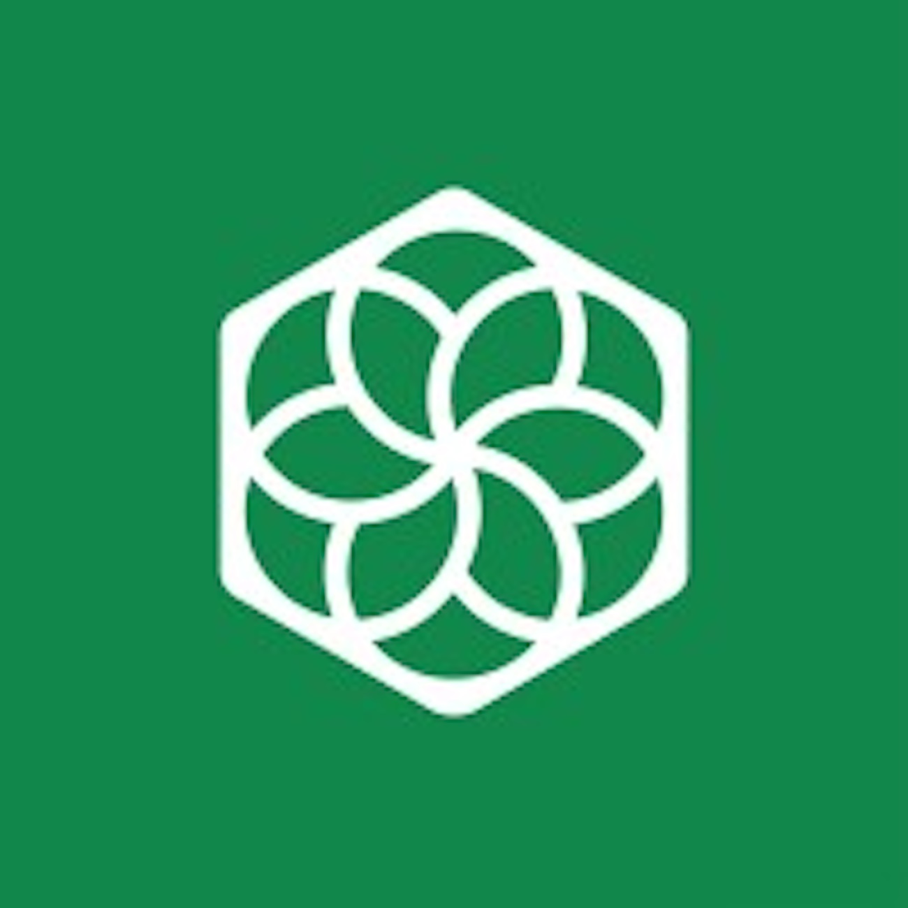 Pachama Climate Tech Company Increases Series B Round To 64 Million