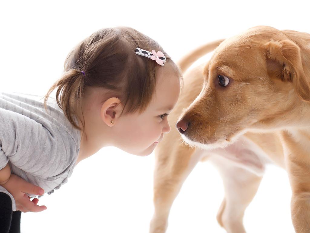 子どものいる家庭で犬を迎えるときの４つの注意点｜犬と暮らす｜ぷにぷにPaw（ポー）