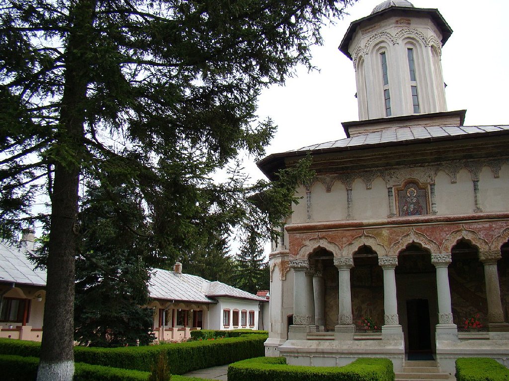Pelerinaj 1 Zi Manastirile Dridu Ceptura Caldarusani