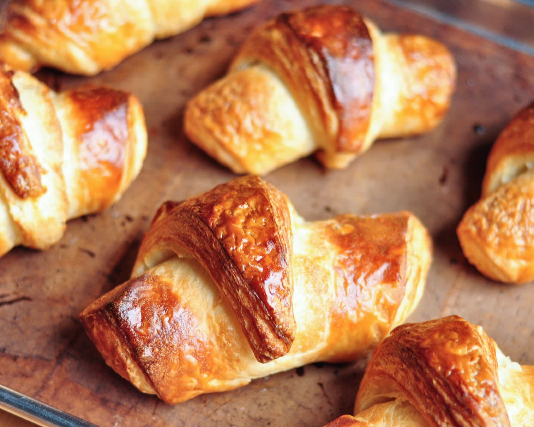 I'll Use AI to Figure Out What Pet Suits You Based On F… Quiz