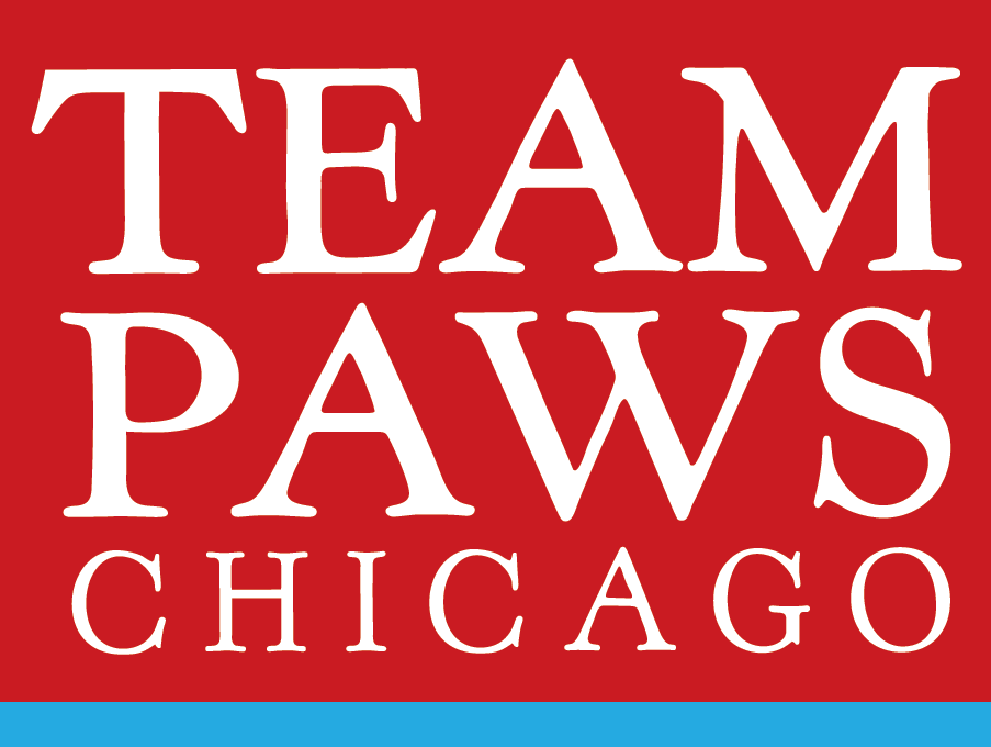 TEAM PAWS Chicago
