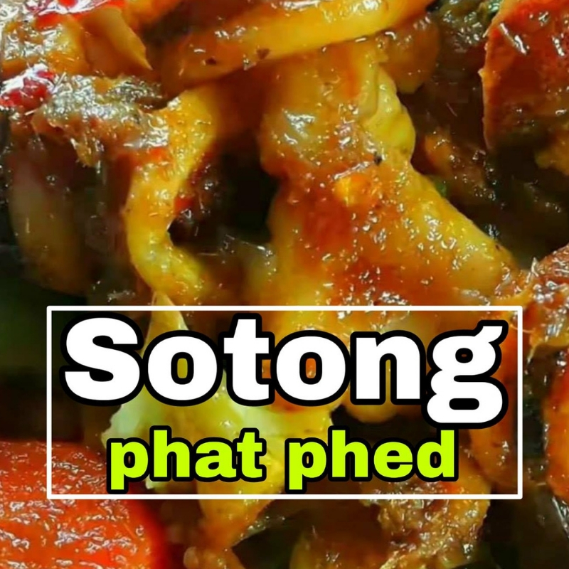 Resipi Masakan Sotong Buku resep masakan aneka olahan ikan. spakistik