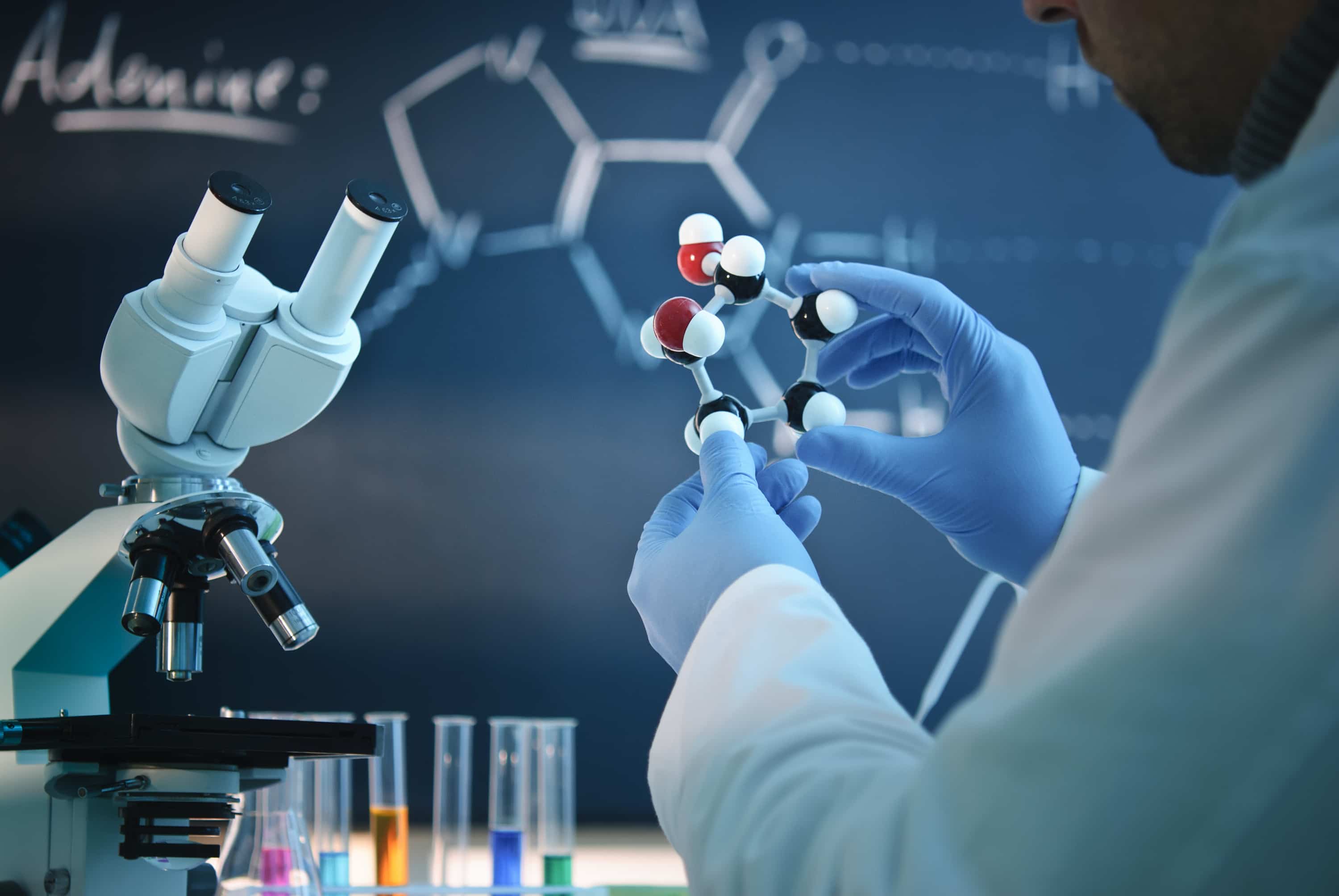 Govt Job MSc Chemistry Project Assistant Post Vacant CLRI