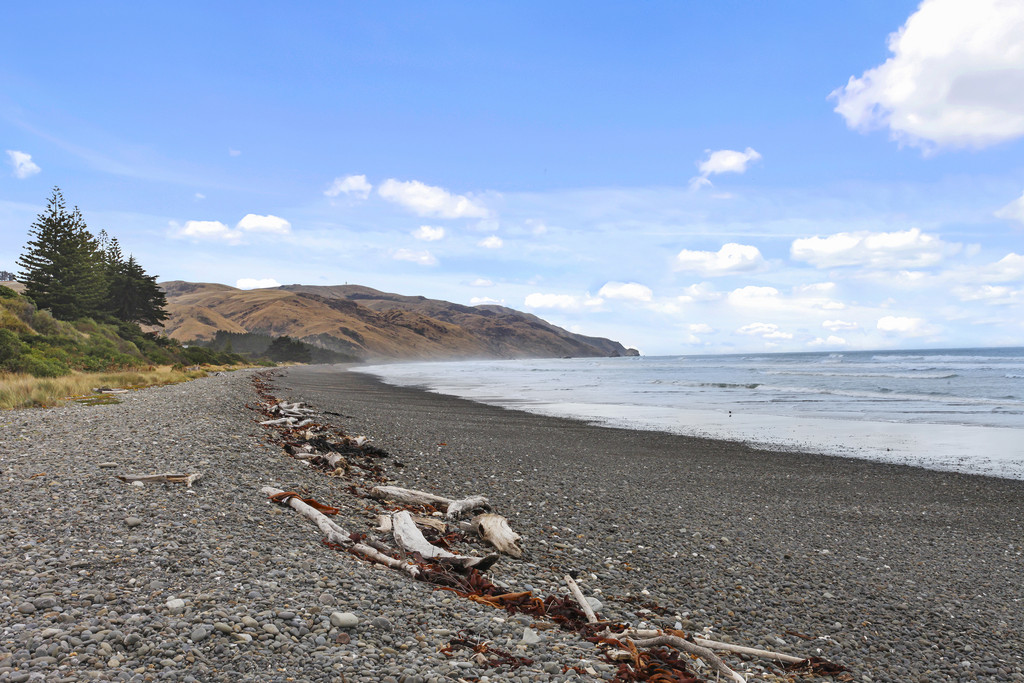 40 Moody Street, Gore Bay, Canterbury Property Profile RateMyAgent