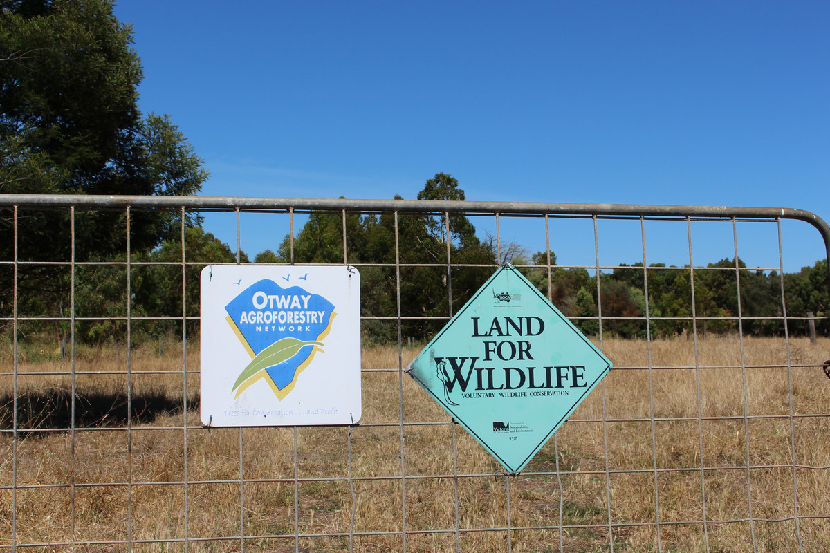 290 Langs James Road, Balintore, VIC, 3249 Property Profile RateMyAgent