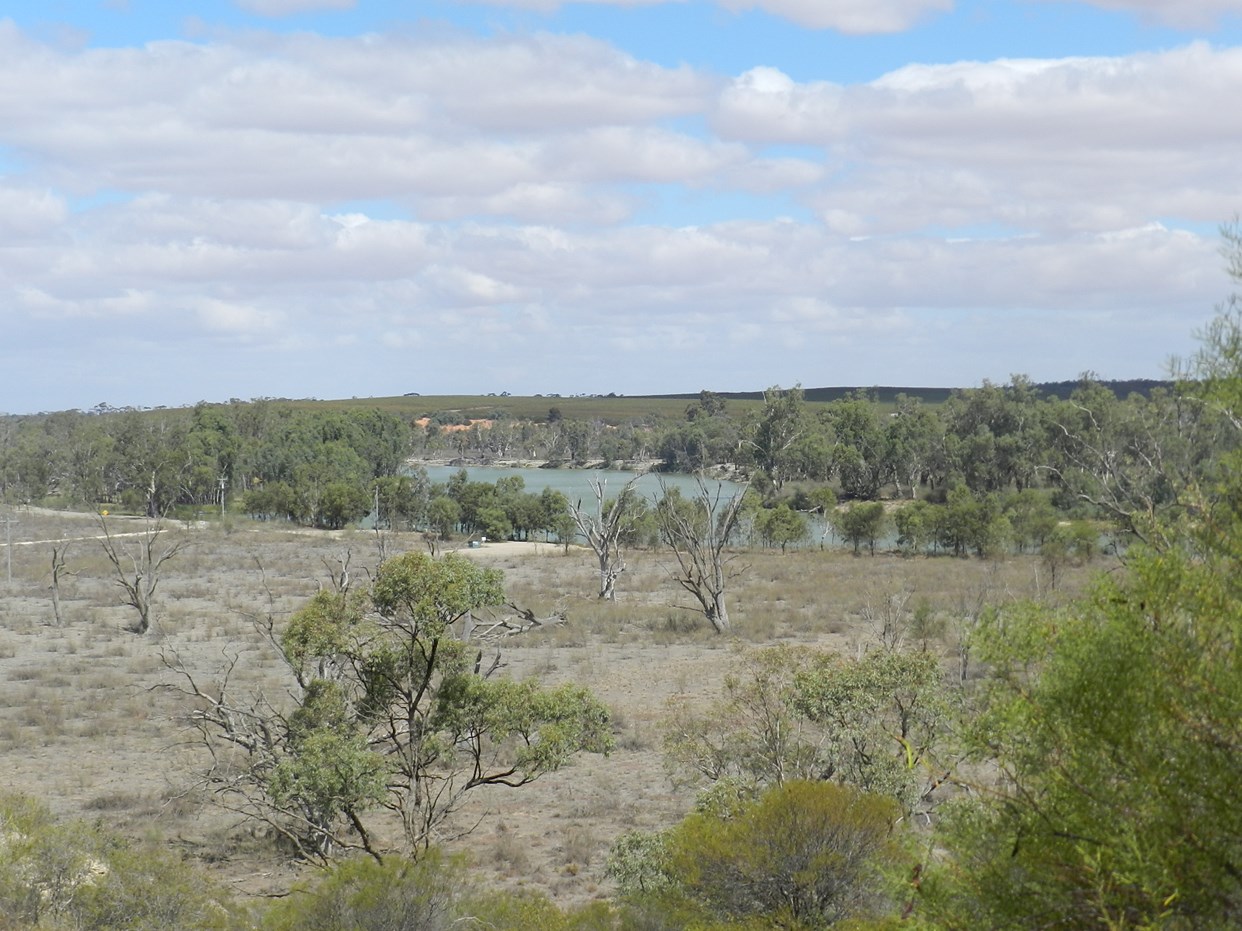 Section 27 Old Coach Road, Overland Corner, SA, 5330 Property Profile