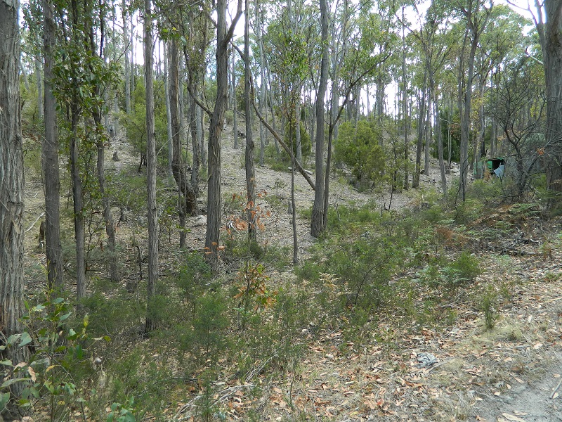 220 Ironstone Gully Road, Lachlan, TAS, 7140 Land Sold on 05 03 2020