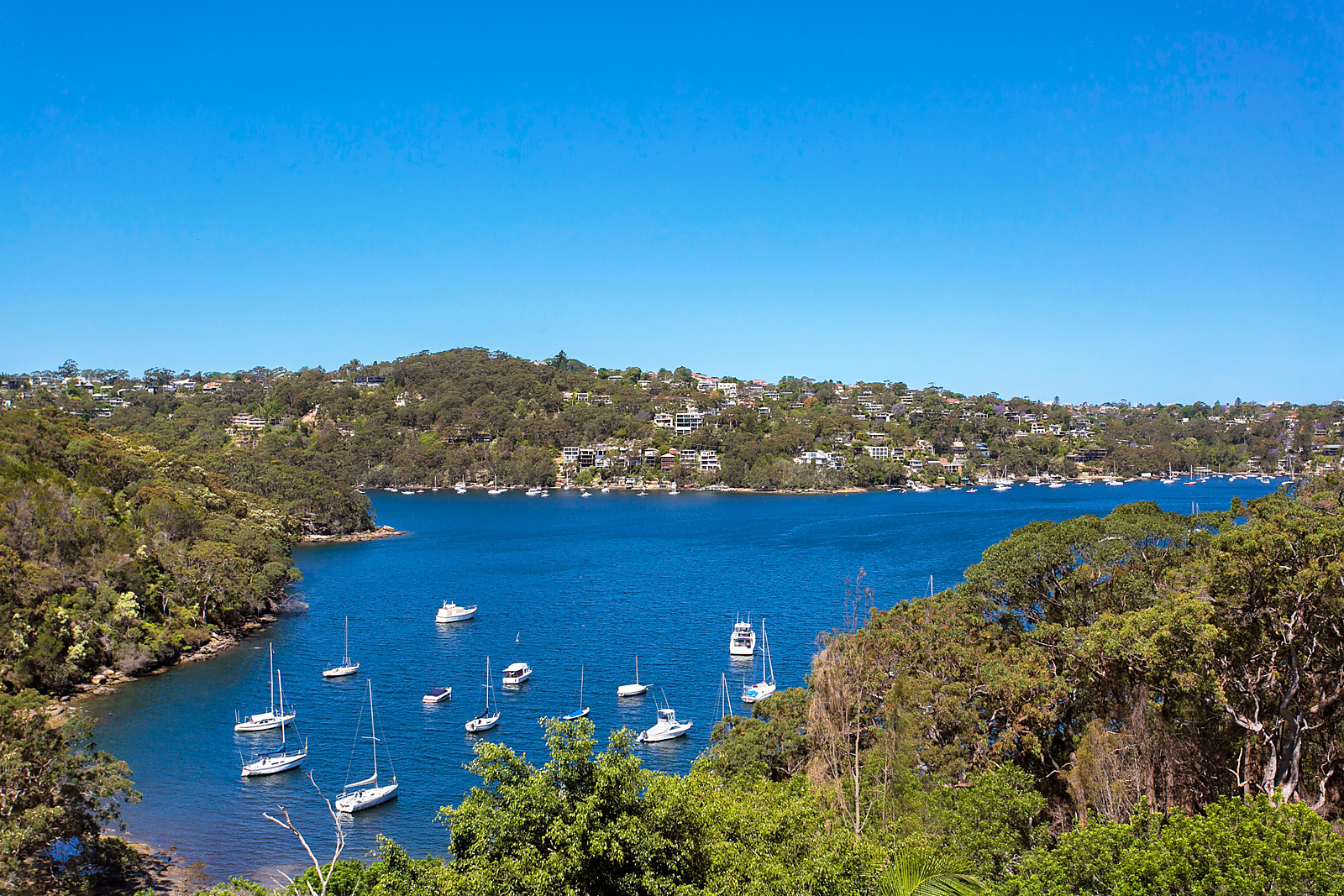 29 Willis Rd, Castle Cove, NSW, 2069 Property Profile RateMyAgent