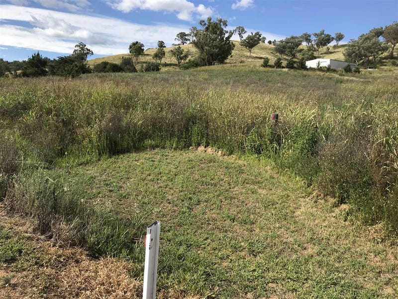 31 Dungowan Creek Road, Dungowan, NSW, 2340 Property Profile