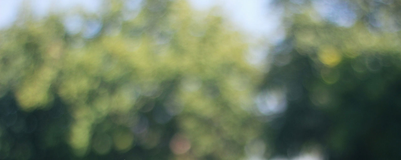 35C Camden Street, Feilding, ManawatuWanganui Single Family Sold on