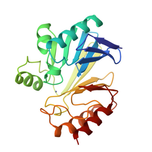 RCSB PDB - 1BMC: STRUCTURE OF A ZINC METALLO-BETA-LACTAMASE FROM