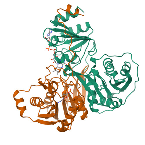 RCSB PDB 1EFP ELECTRON TRANSFER FLAVOPROTEIN (ETF) FROM PARACOCCUS