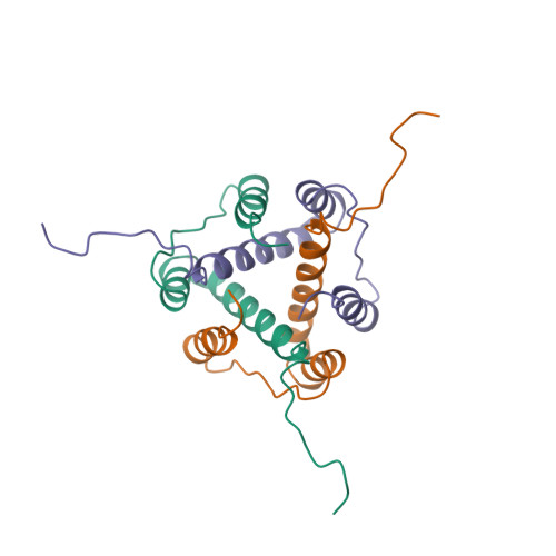 RCSB PDB 1IIE HLADR ANTIGENS ASSOCIATED INVARIANT CHAIN