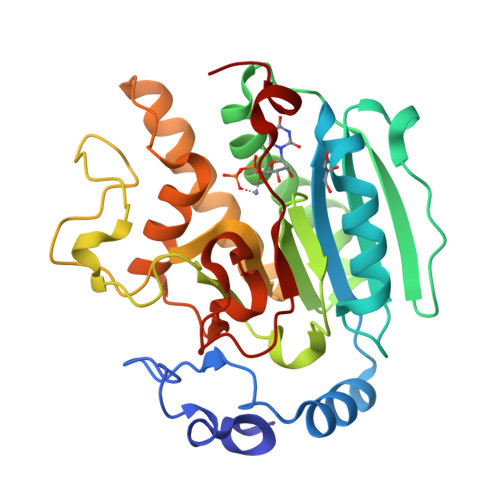 RCSB PDB 1K4V 1.53 A Crystal Structure of the BetaGalactosidealpha