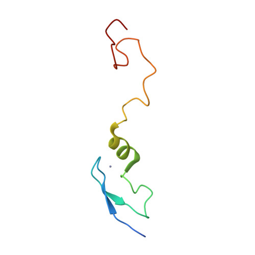 RCSB PDB 1LV3 Solution NMR Structure of Zinc Finger Protein yacG