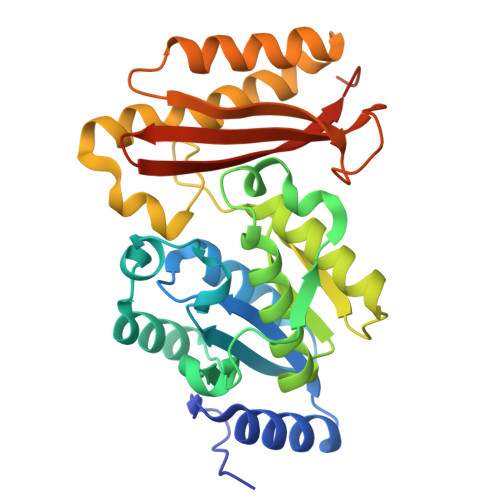 RCSB PDB 1MOP Crystal Structure of a Pantothenate Synthetase from M
