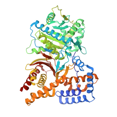 RCSB PDB 1NM8 Structure of Human Carnitine Acetyltransferase