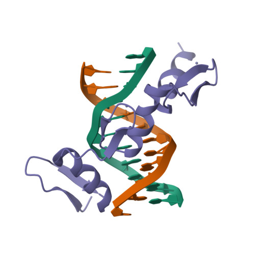 RCSB PDB 1ZAA ZINC FINGERDNA RECOGNITION CRYSTAL STRUCTURE OF A