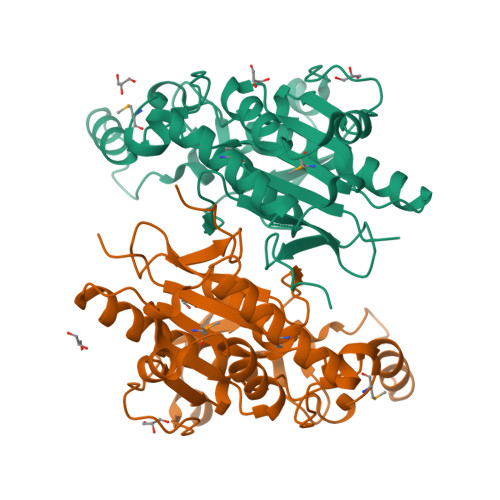 RCSB PDB 3F3K The structure of uncharacterized protein YKR043C from