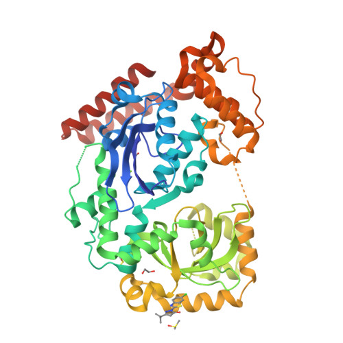 RCSB PDB 3HL8 Crystal structure of exonuclease I in complex with