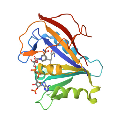 RCSB PDB 3K45 Alternate Binding Modes Observed for the E and Z