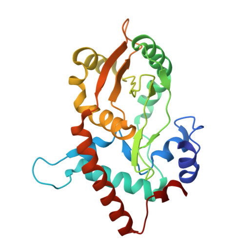 Lambda Exonuclease Buffer at Kris Dunn blog