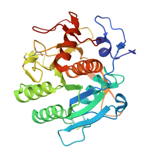 RCSB PDB 4DZT Aqualysin I the crystal structure of a serine