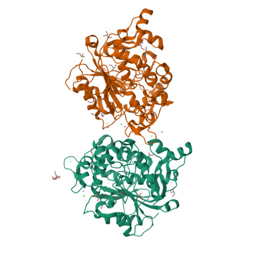 RCSB PDB 4FKB An Organic solvent tolerant lipase 42