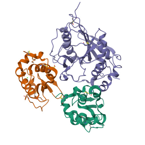 Lactase Enzyme Structure