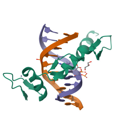 RCSB PDB 4M9E Structure of Klf4 zinc finger DNA binding domain in