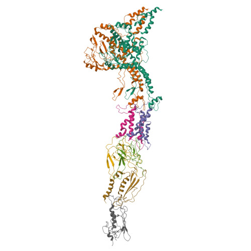RCSB PDB 5A21 Structure of bacteriophage SPP1 headtotail interface