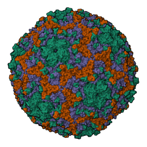 RCSB PDB 5C4W Crystal structure of coxsackievirus A16