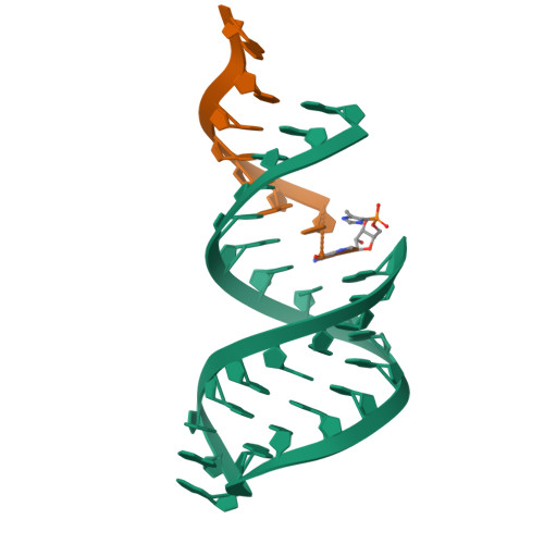 RCSB PDB 5UZ6 RNA hairpin structure containing 2MeImpoligo analogue