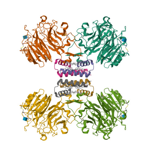 RCSB PDB 5YYL Structure of Major Royal Jelly Protein 1 Oligomer