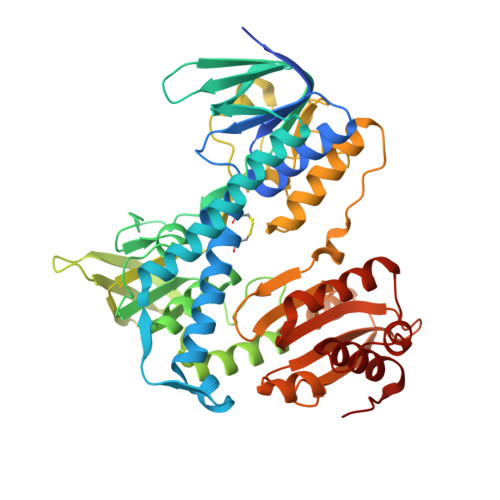 RCSB PDB - 6I4P: Crystal structure of the disease-causing G194C mutant