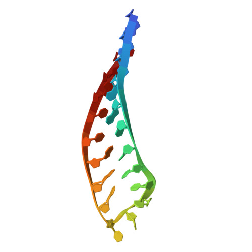 RCSB PDB 7BFX deoxyxylose nucleic acid hairpin