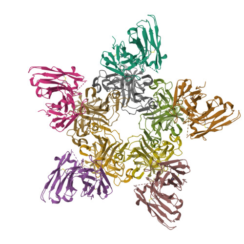 RCSB PDB - 7PA7: BK polyomavirus VP1 in complex with scFv 29B1