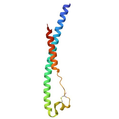 RCSB PDB 7S94 Structure of the core postfusion porcine endogenous
