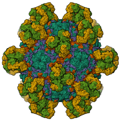 RCSB PDB 7Y7M The structure of coxsackievirus A16 mature virion in