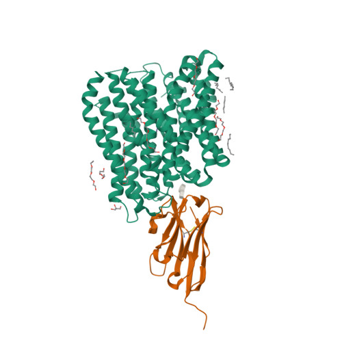 RCSB PDB - 8B18: DtpB-Nb132-AF