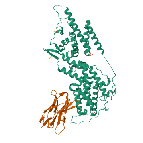 RCSB PDB - 8BE2: Crystal structure of SOS1-Nanobody77