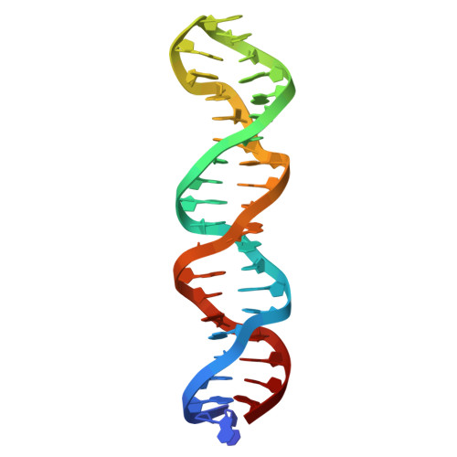 RCSB PDB 8BM7 Hairpin adopted by oligonucleotide A38 found in the