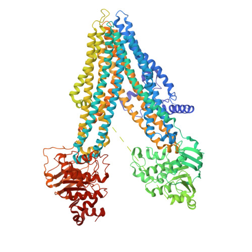 RCSB PDB 8F4B Bovine multidrug resistance protein 1 (MRP1) bound to