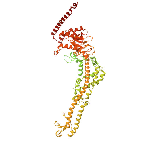 Gene P20585 Protein MSH3 Disease association canSAR.ai