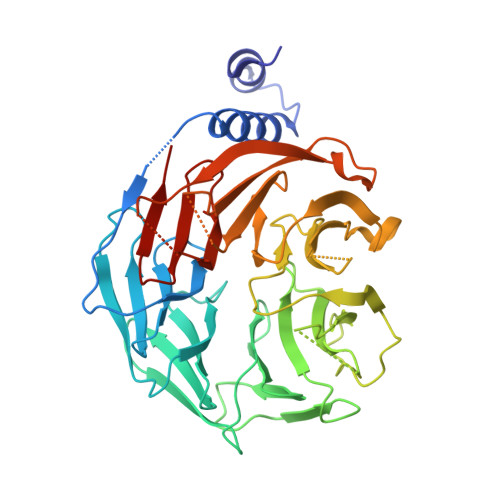 RCSB PDB - 8WQR: Structure of the DDB1-AMBRA1 E3 ligase receptor