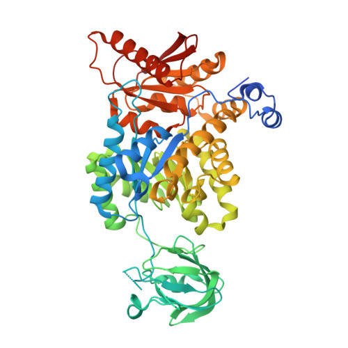 RCSB PDB 8XFD Crystal structure of pyruvate kinase tetramer in