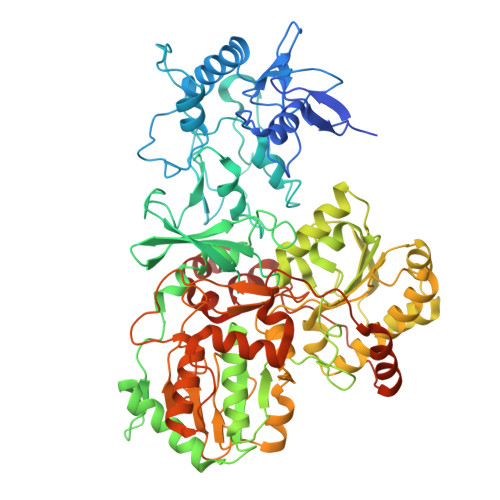 RCSB PDB 8XNS Respiratory complex Peripheral Arm of CI, close form B