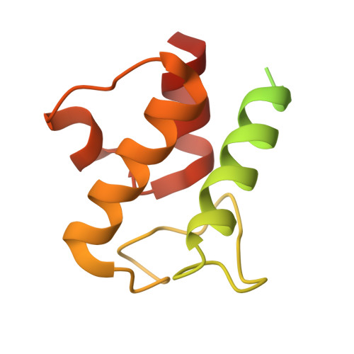 RCSB PDB 8XNS Respiratory complex Peripheral Arm of CI, close form B